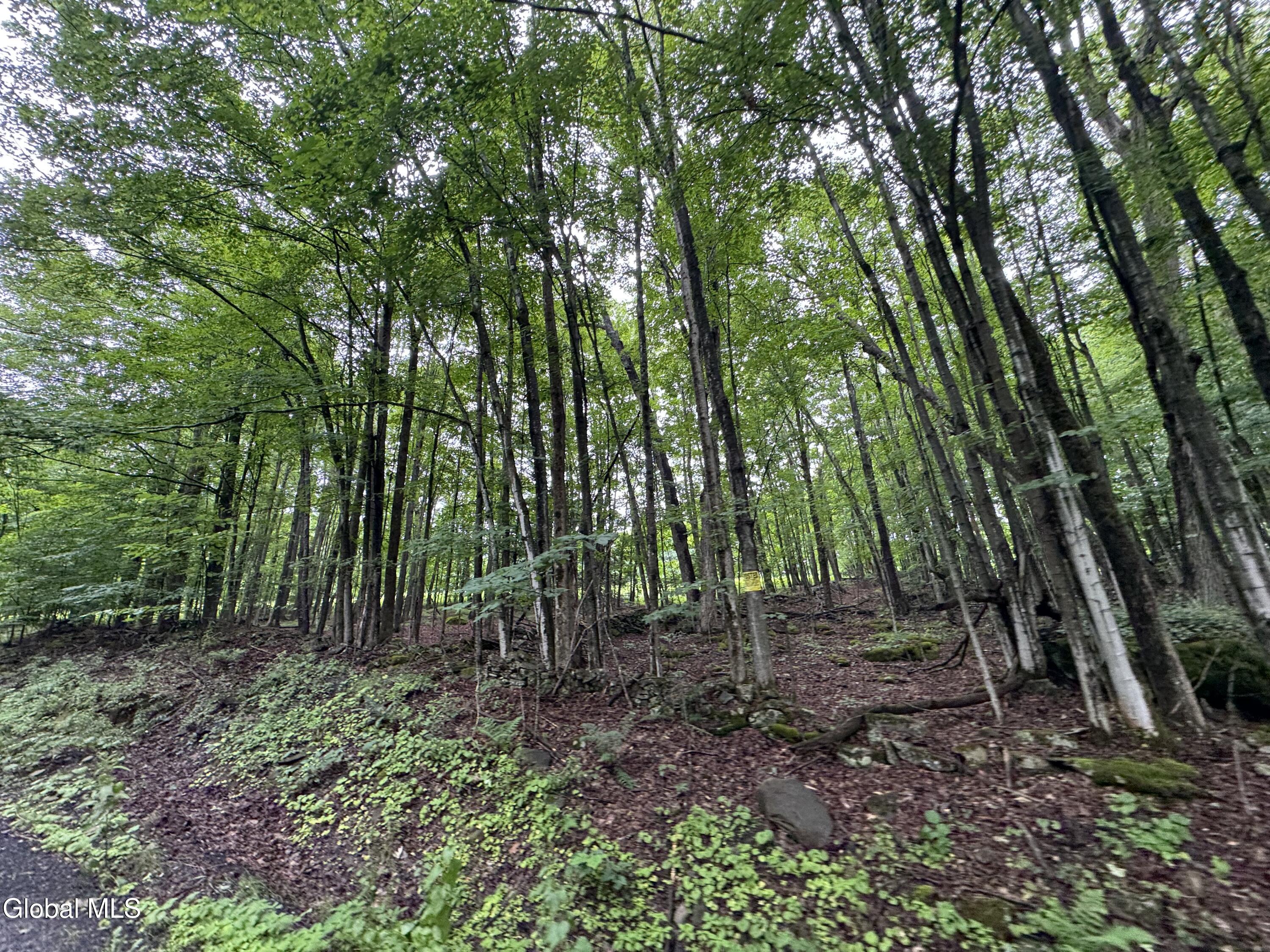 0 Cook Road Conesville NY 12076