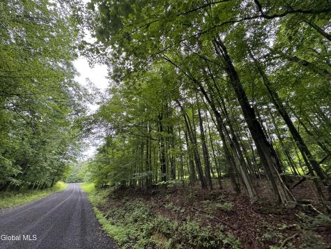 0 Cook Road Conesville NY 12076