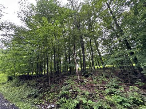 0 Cook Road Conesville NY 12076
