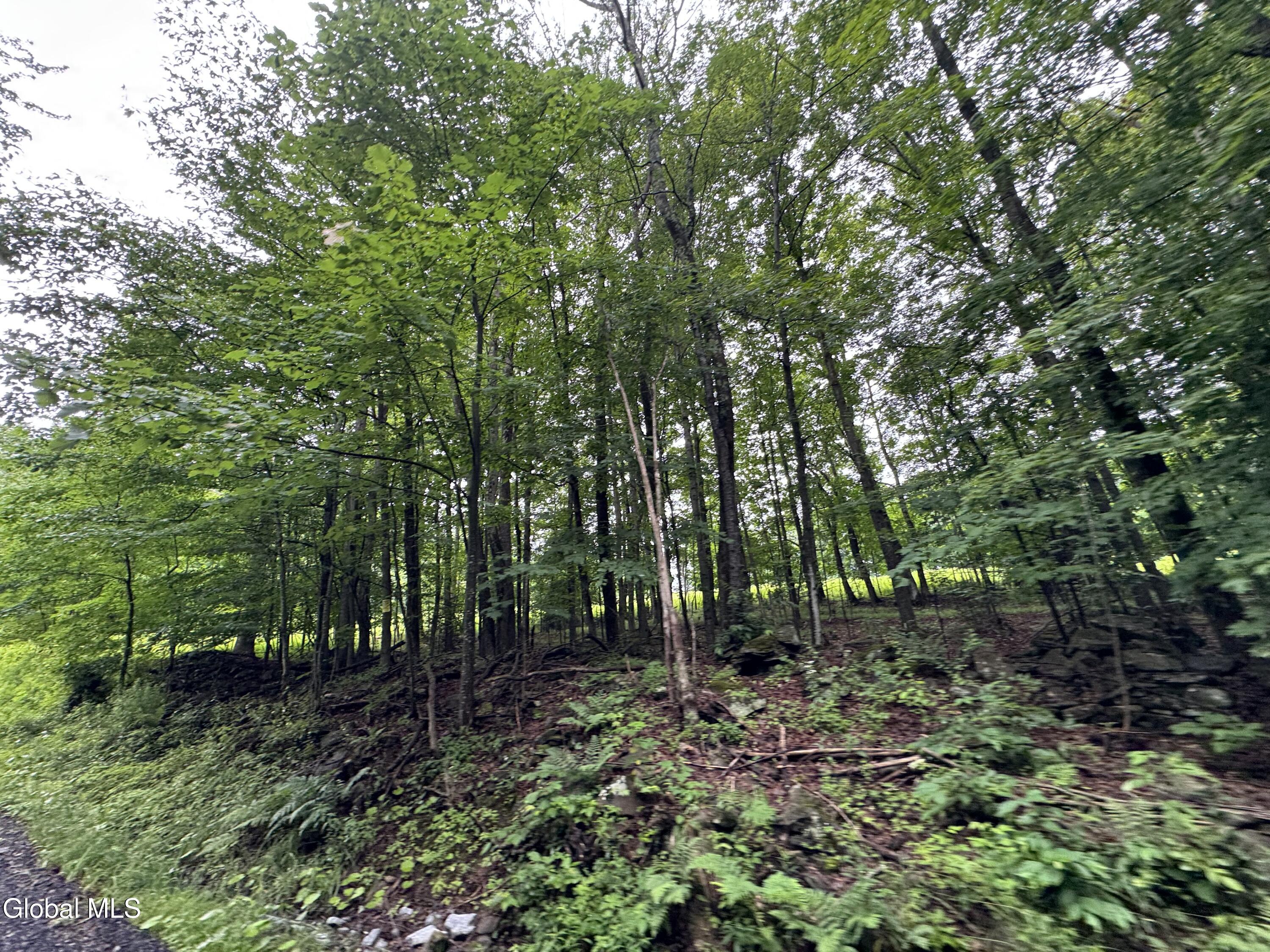 0 Cook Road Conesville NY 12076