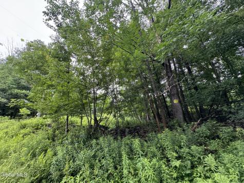 0 Cook Road Conesville NY 12076