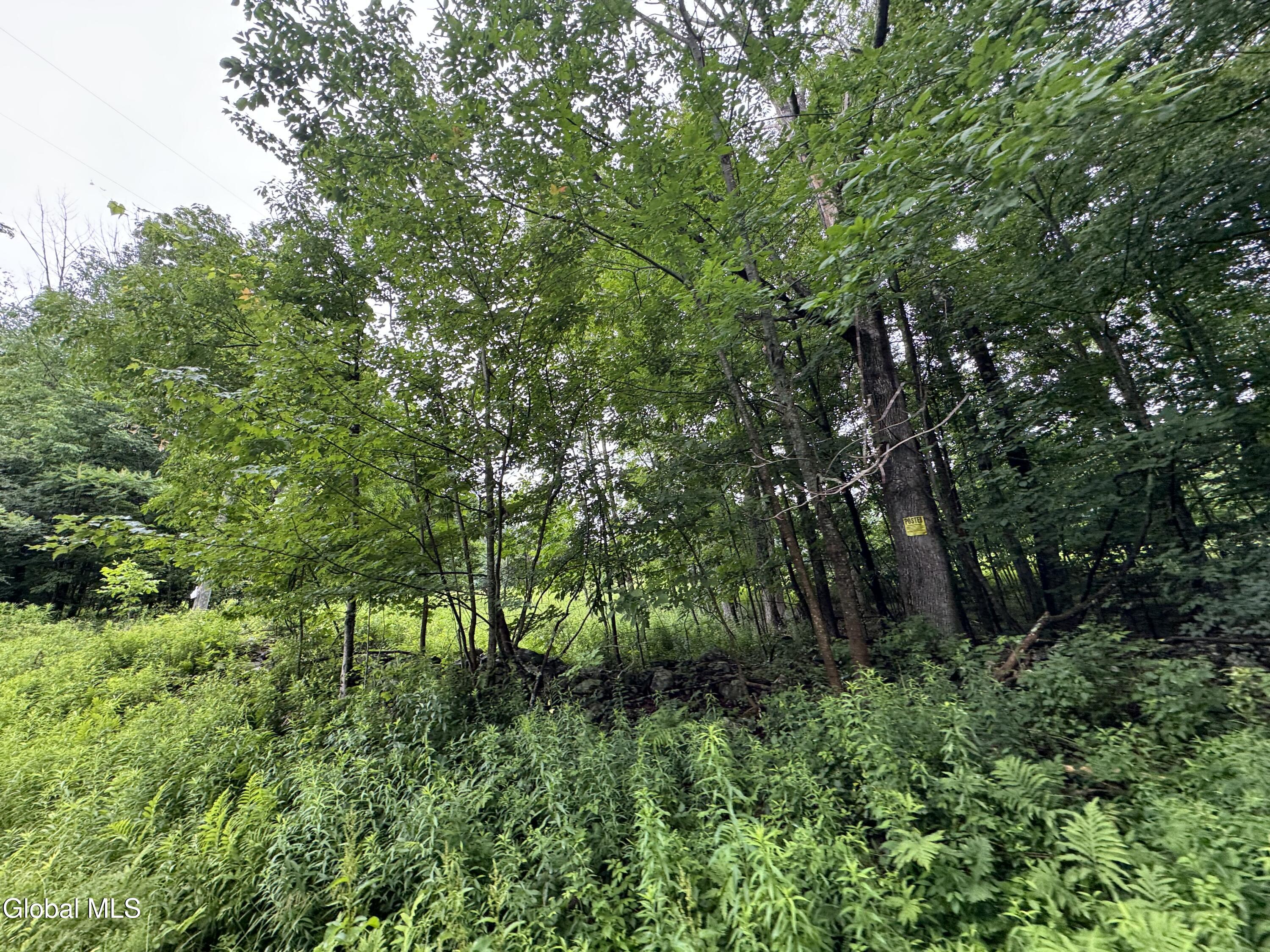 0 Cook Road Conesville NY 12076
