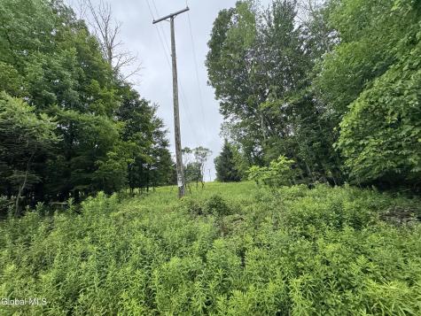 0 Cook Road Conesville NY 12076