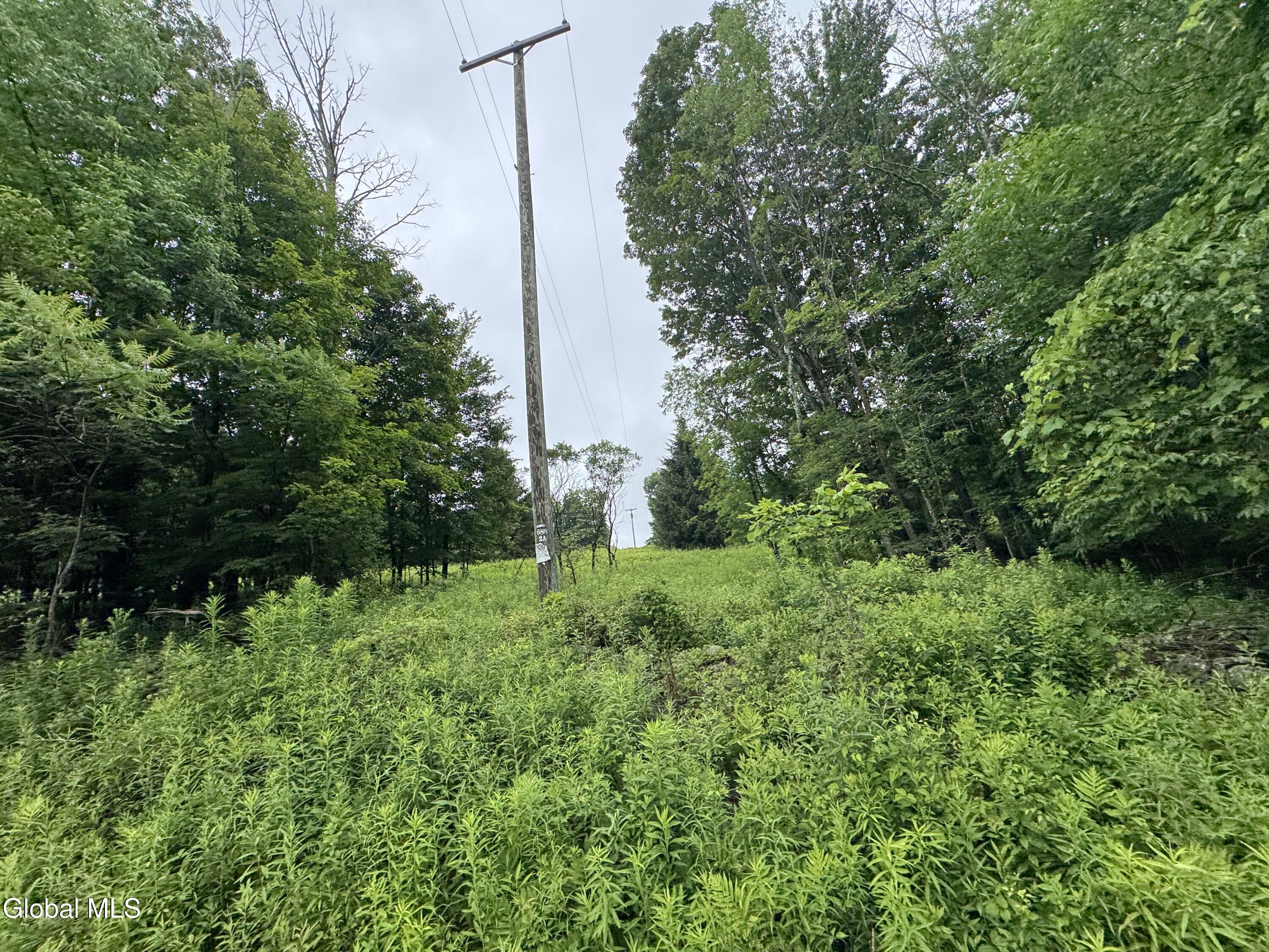 0 Cook Road Conesville NY 12076