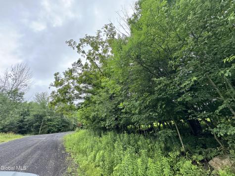 0 Cook Road Conesville NY 12076