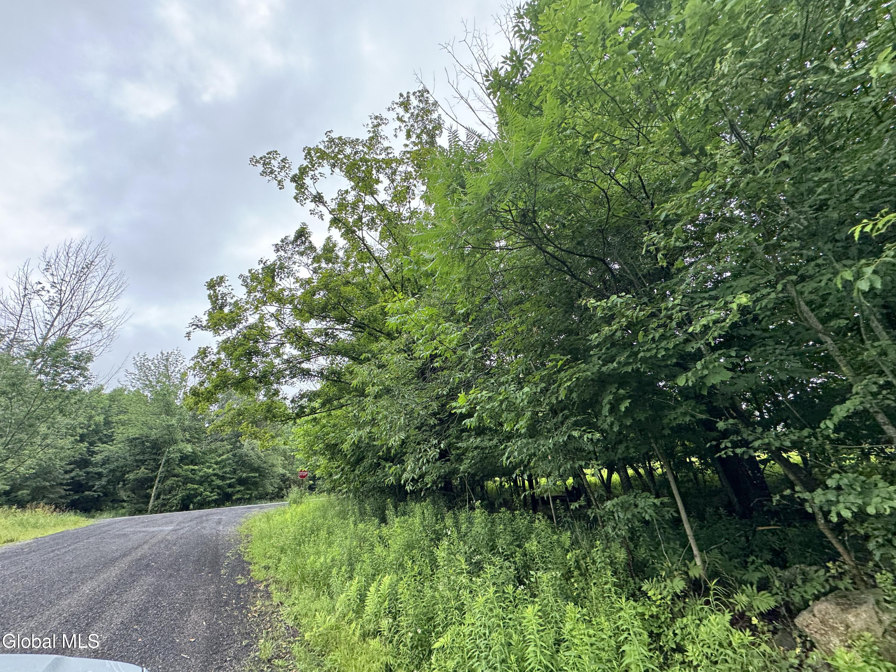 0 Cook Road Conesville NY 12076