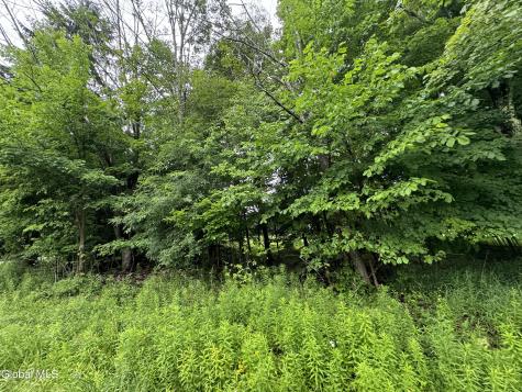 0 Cook Road Conesville NY 12076