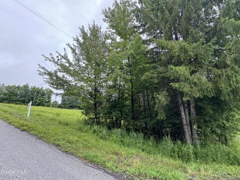 0 Cook Road Conesville NY 12076