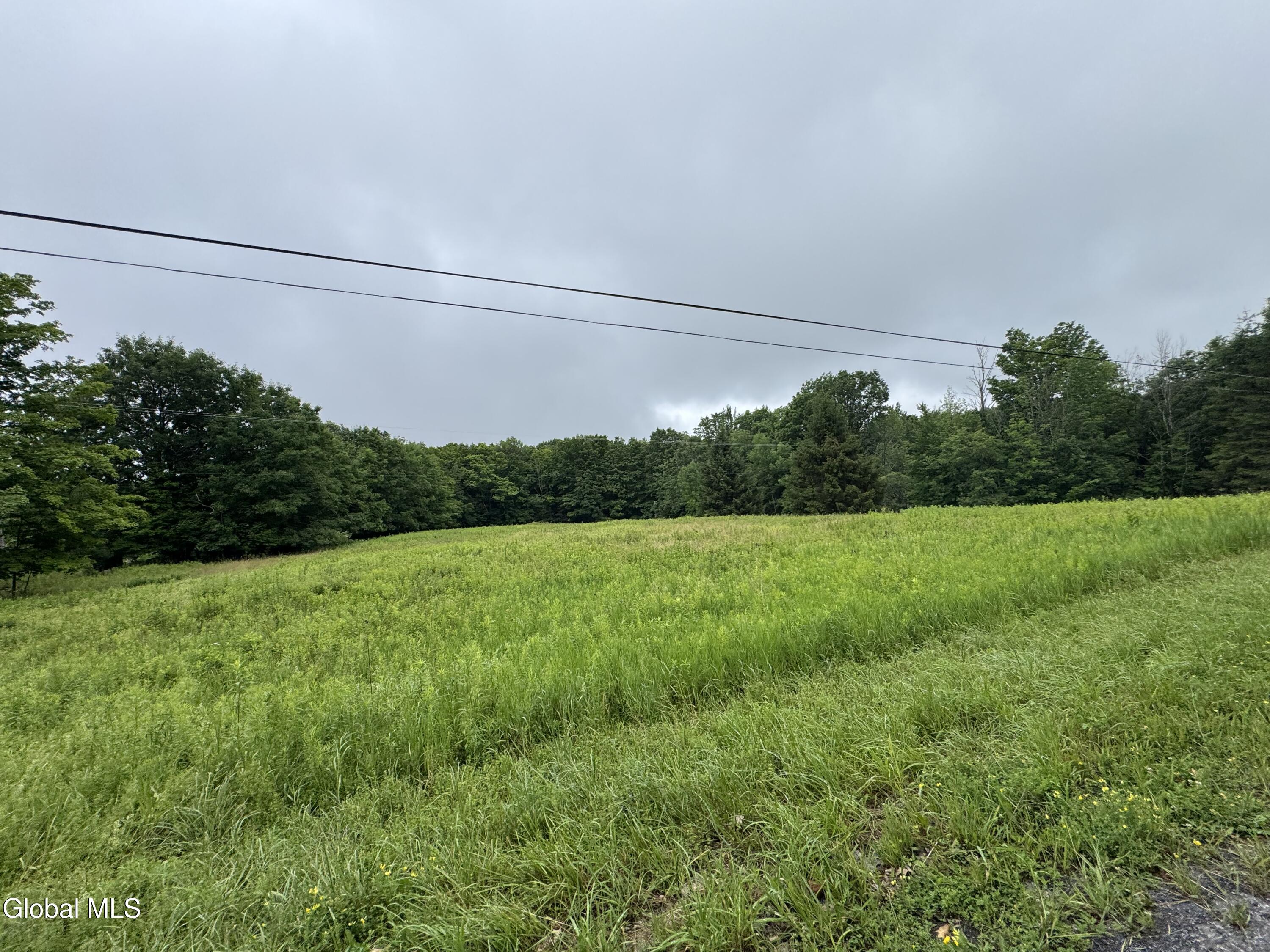 0 Cook Road Conesville NY 12076