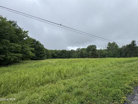 0 Cook Road Conesville NY 12076