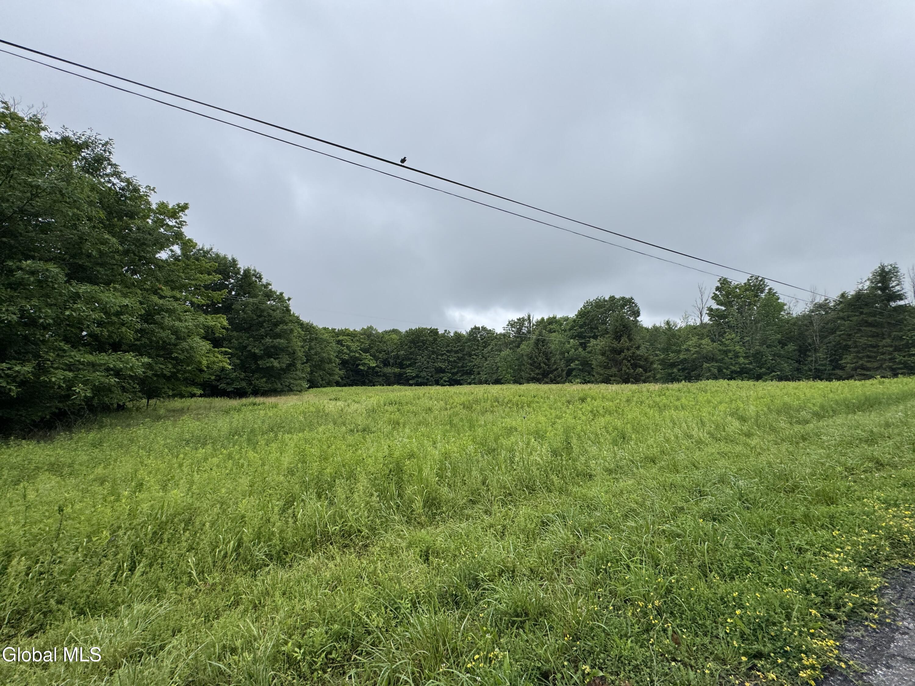 0 Cook Road Conesville NY 12076