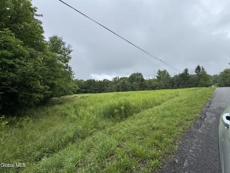 0 Cook Road Conesville NY 12076