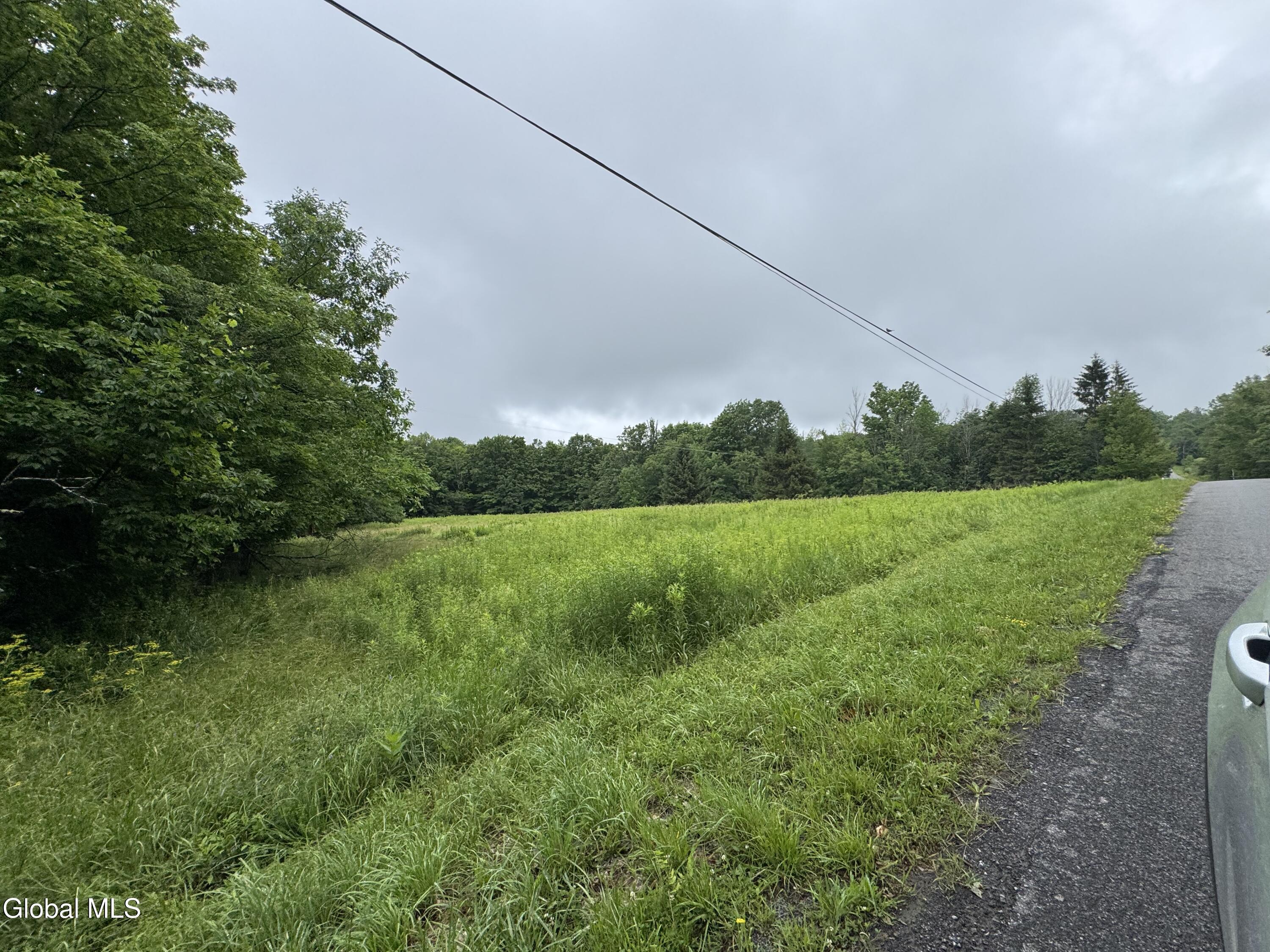 0 Cook Road Conesville NY 12076