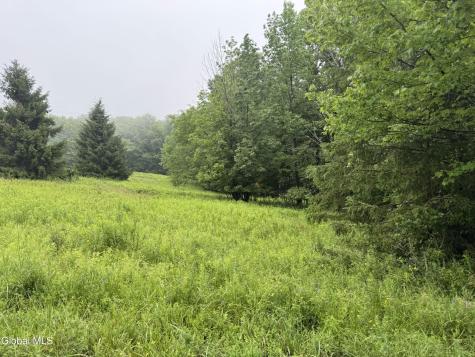 0 Cook Road Conesville NY 12076