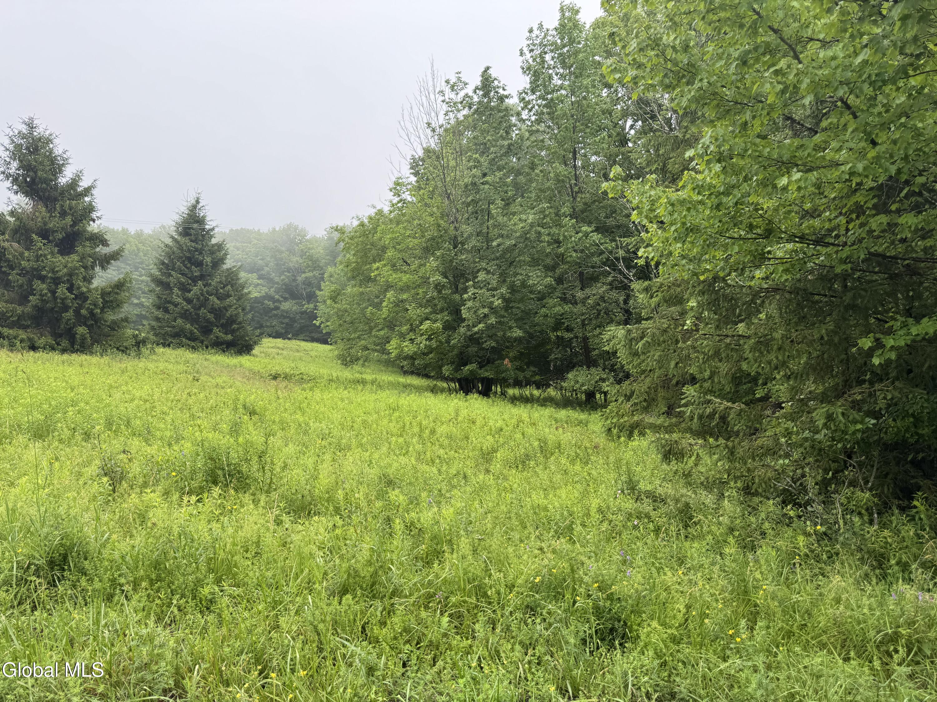 0 Cook Road Conesville NY 12076