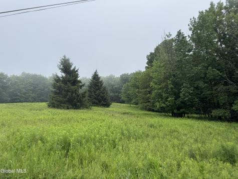 0 Cook Road Conesville NY 12076
