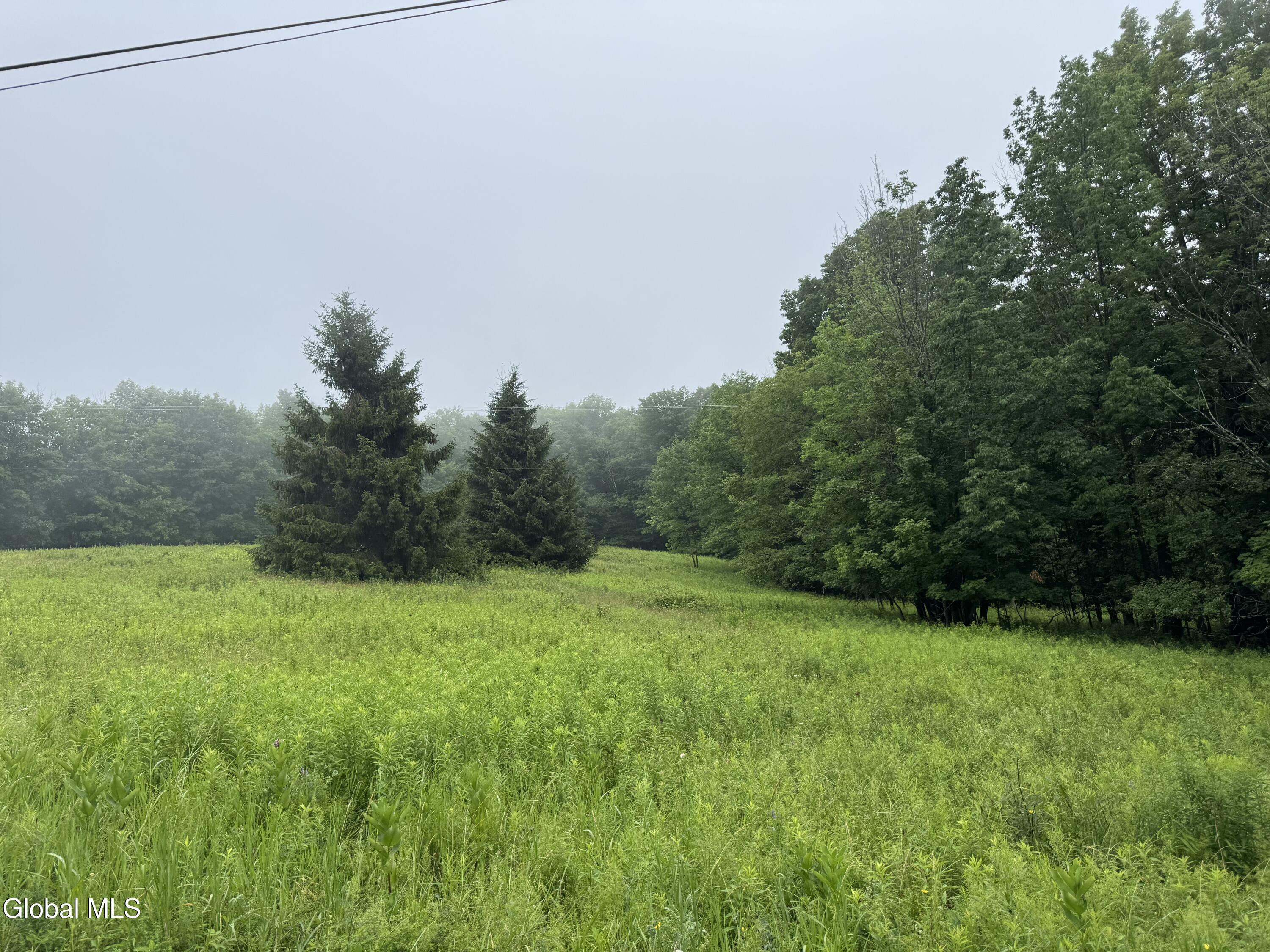 0 Cook Road Conesville NY 12076