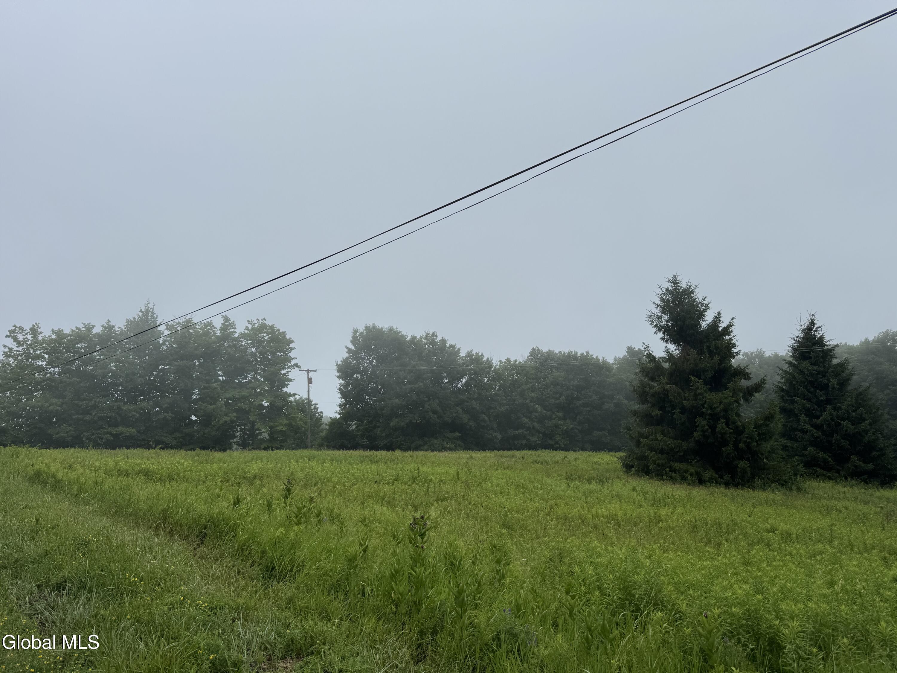 0 Cook Road Conesville NY 12076