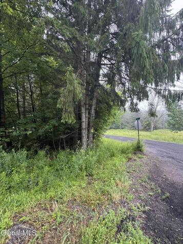 0 Cook Road Conesville NY 12076
