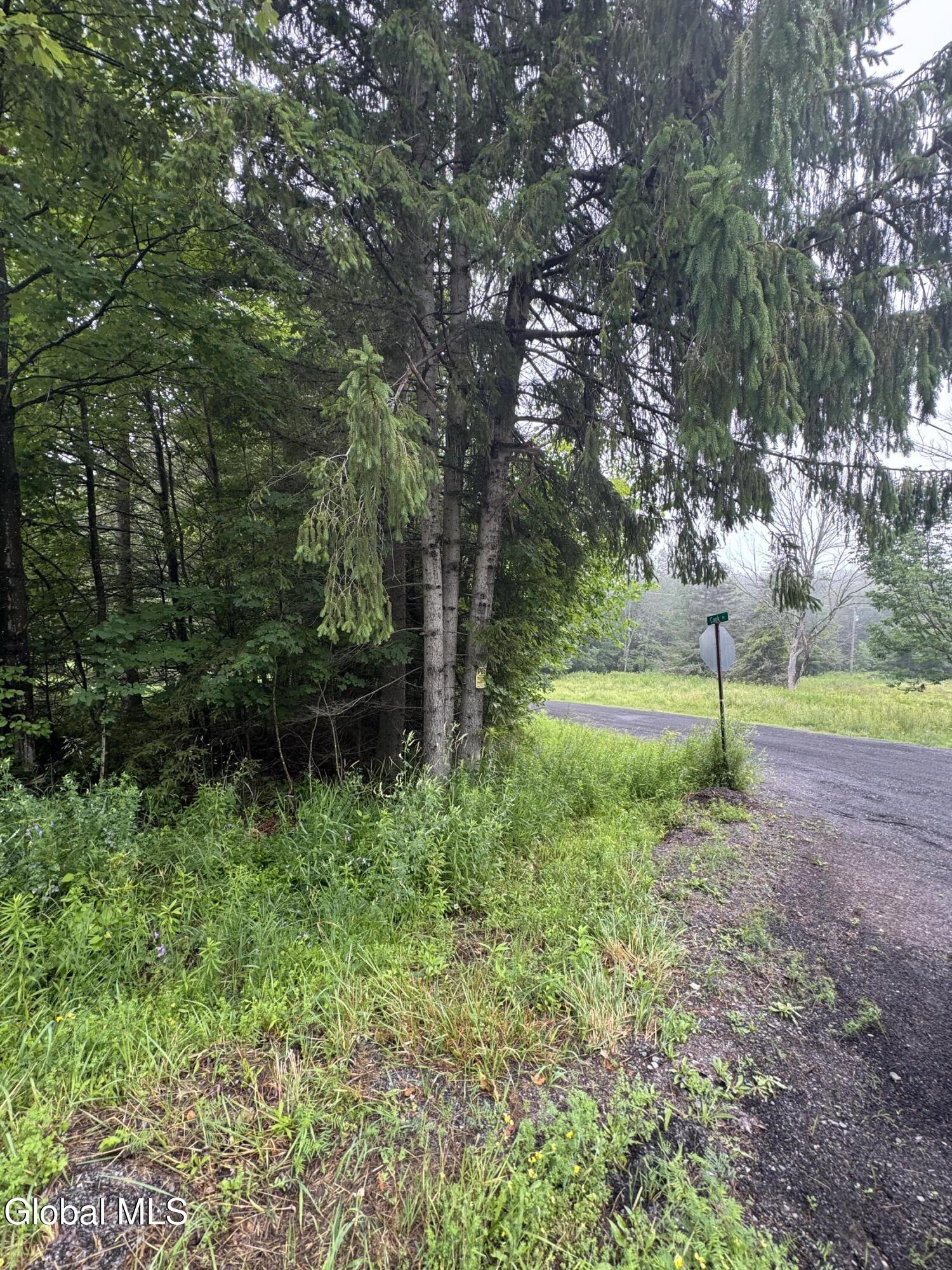 0 Cook Road Conesville NY 12076