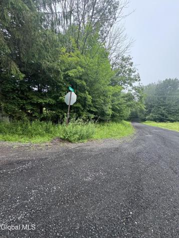 0 Cook Road Conesville NY 12076