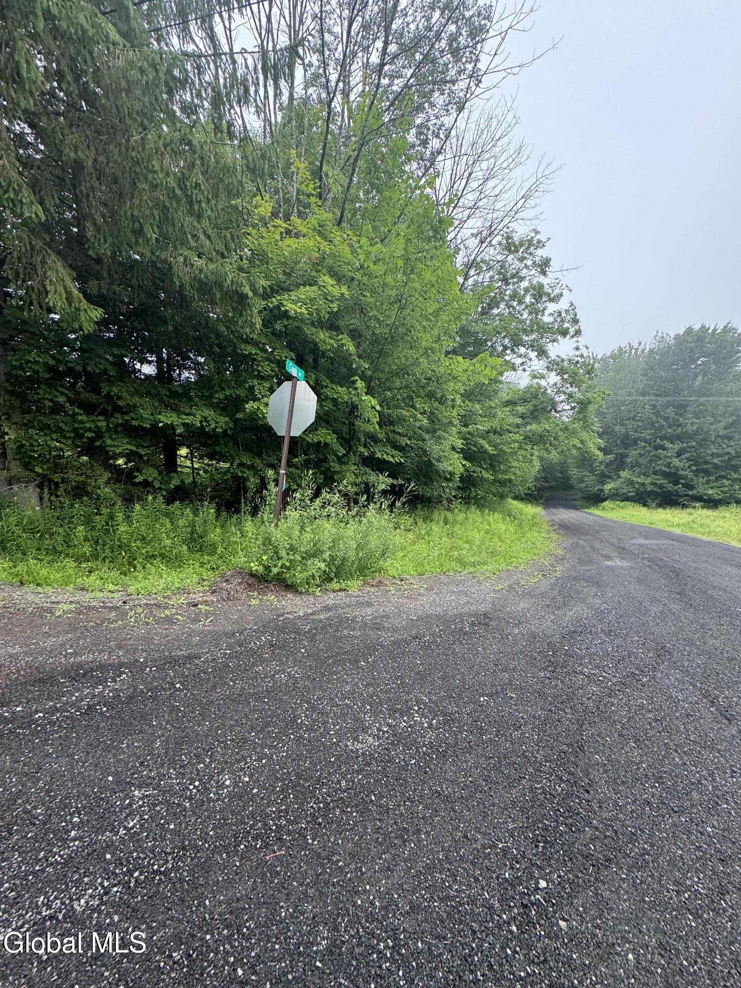 0 Cook Road Conesville NY 12076