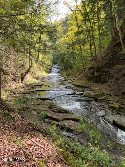 L27 Travis Road Van Hornesville NY 13361