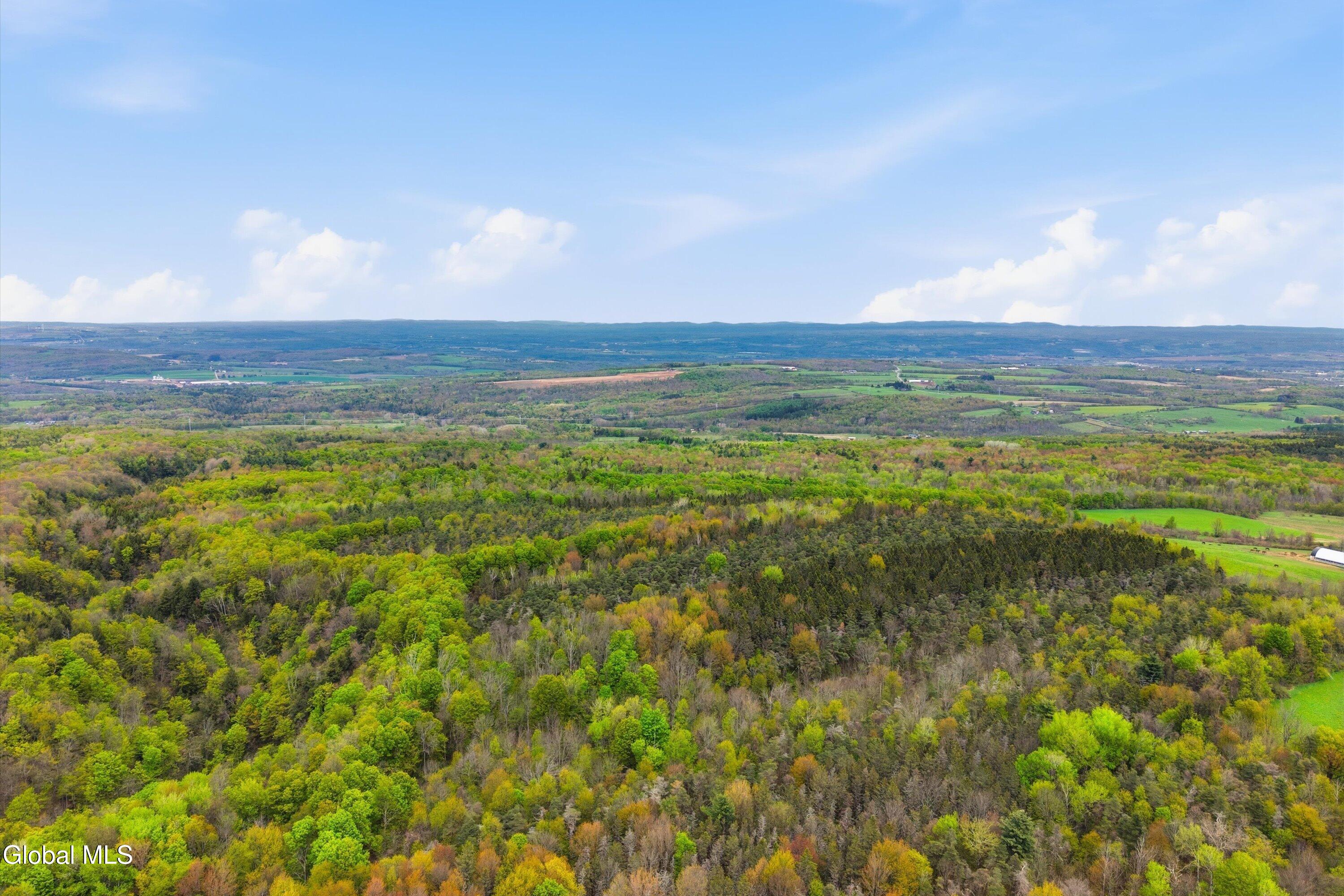 L27 Travis Road Van Hornesville NY 13361