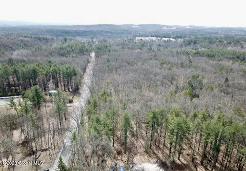L19.22 Homestead Road Saratoga Springs NY 12866