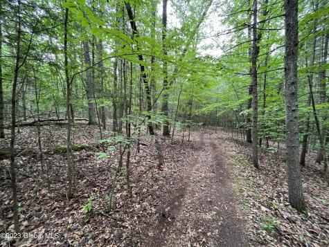 L19.22 Homestead Road Saratoga Springs NY 12866