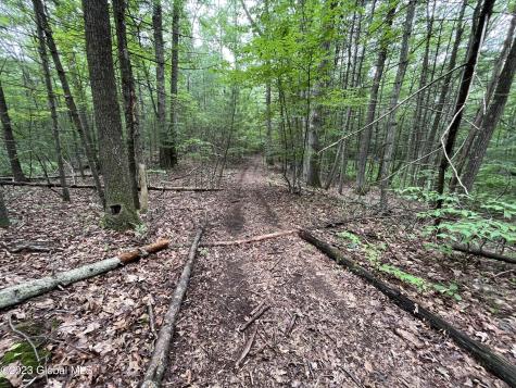 L19.22 Homestead Road Saratoga Springs NY 12866