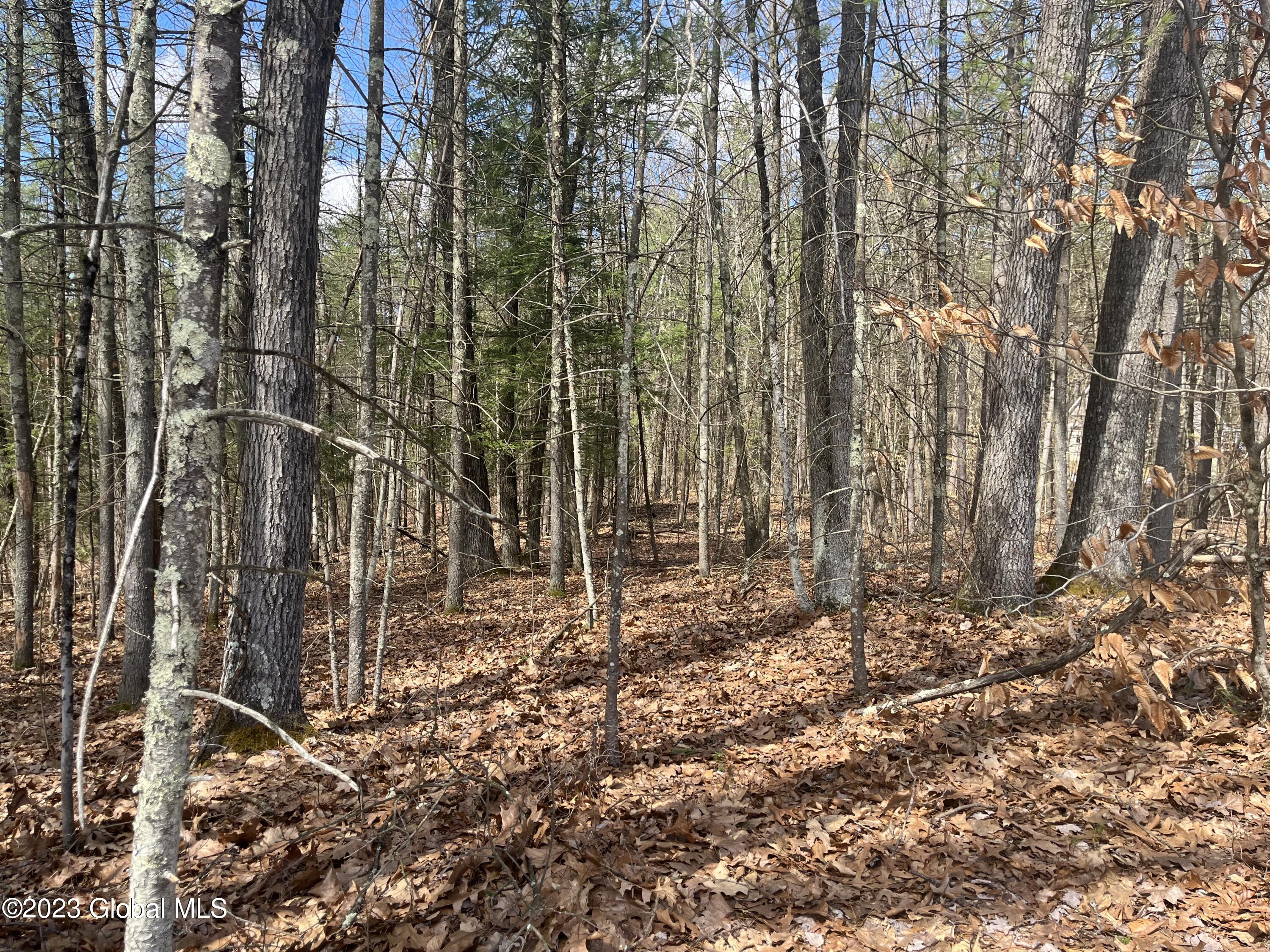L19.22 Homestead Road Saratoga Springs NY 12866
