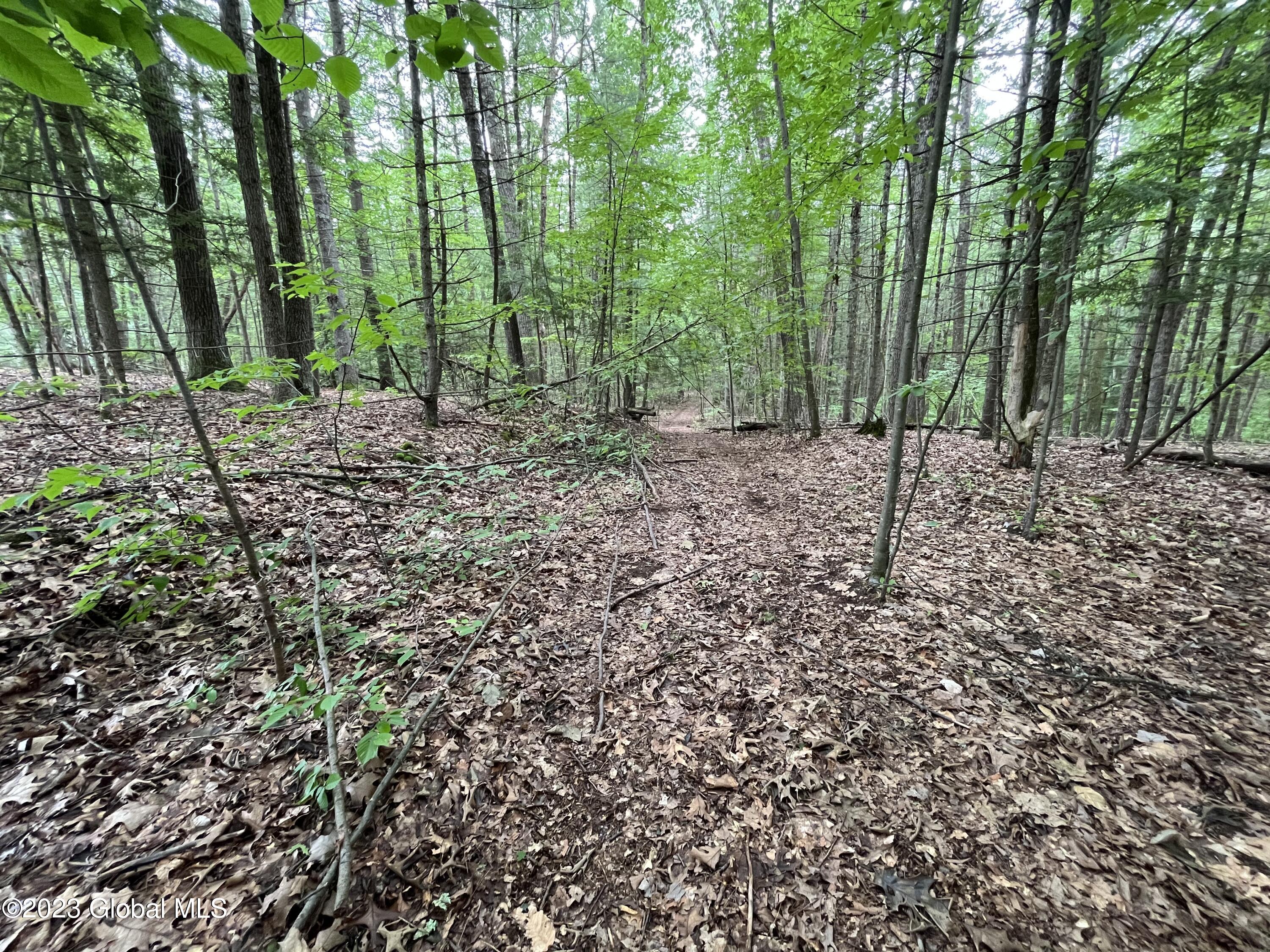 L19.22 Homestead Road Saratoga Springs NY 12866