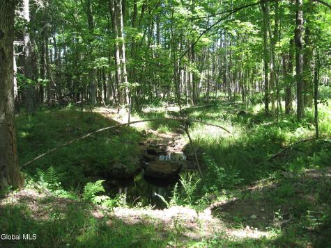 1260 Valentine Pond Road Adirondack NY 12808