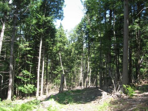 1260 Valentine Pond Road Adirondack NY 12808