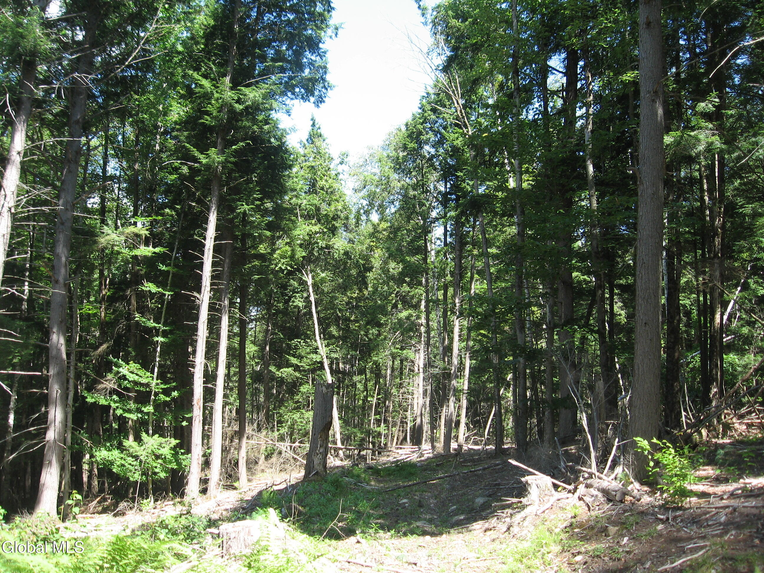 1260 Valentine Pond Road Adirondack NY 12808