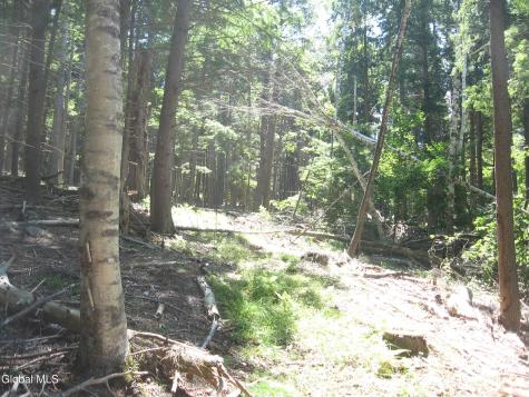 1260 Valentine Pond Road Adirondack NY 12808