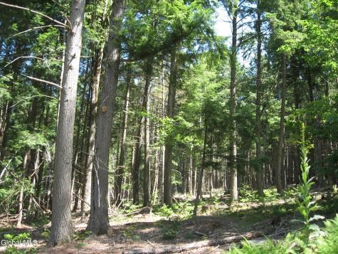 1260 Valentine Pond Road Adirondack NY 12808