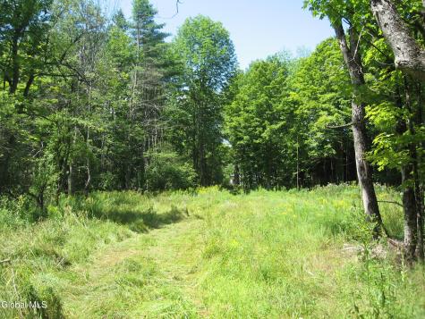 1260 Valentine Pond Road Adirondack NY 12808