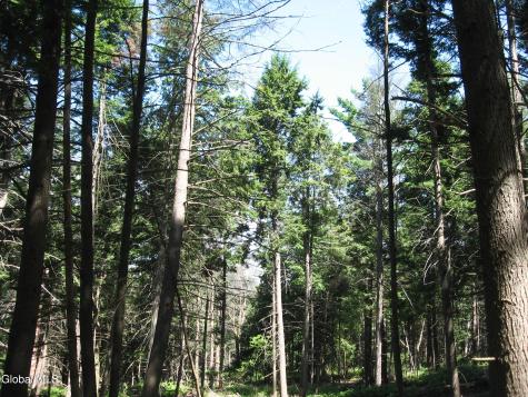 1260 Valentine Pond Road Adirondack NY 12808