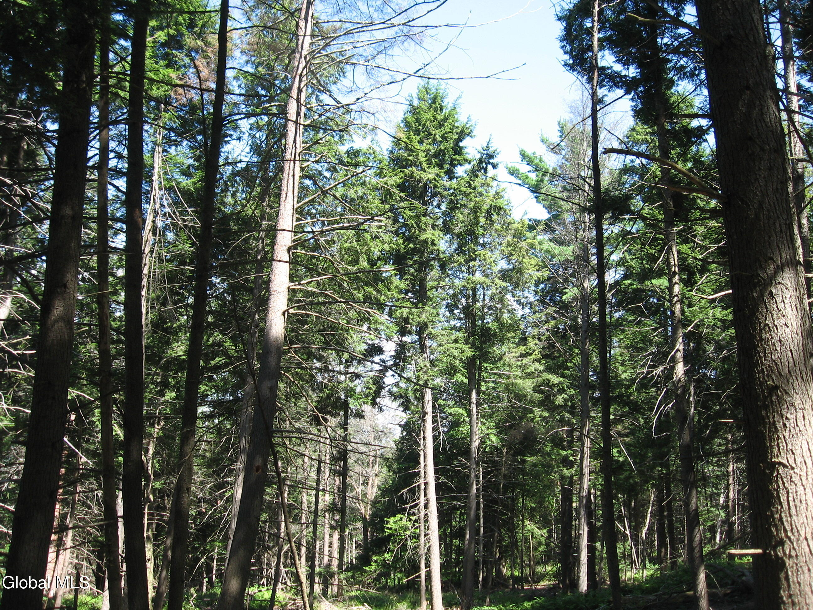 1260 Valentine Pond Road Adirondack NY 12808