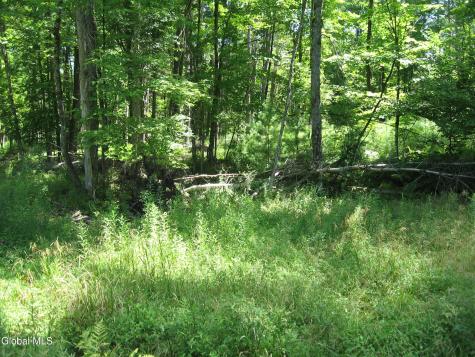 1260 Valentine Pond Road Adirondack NY 12808