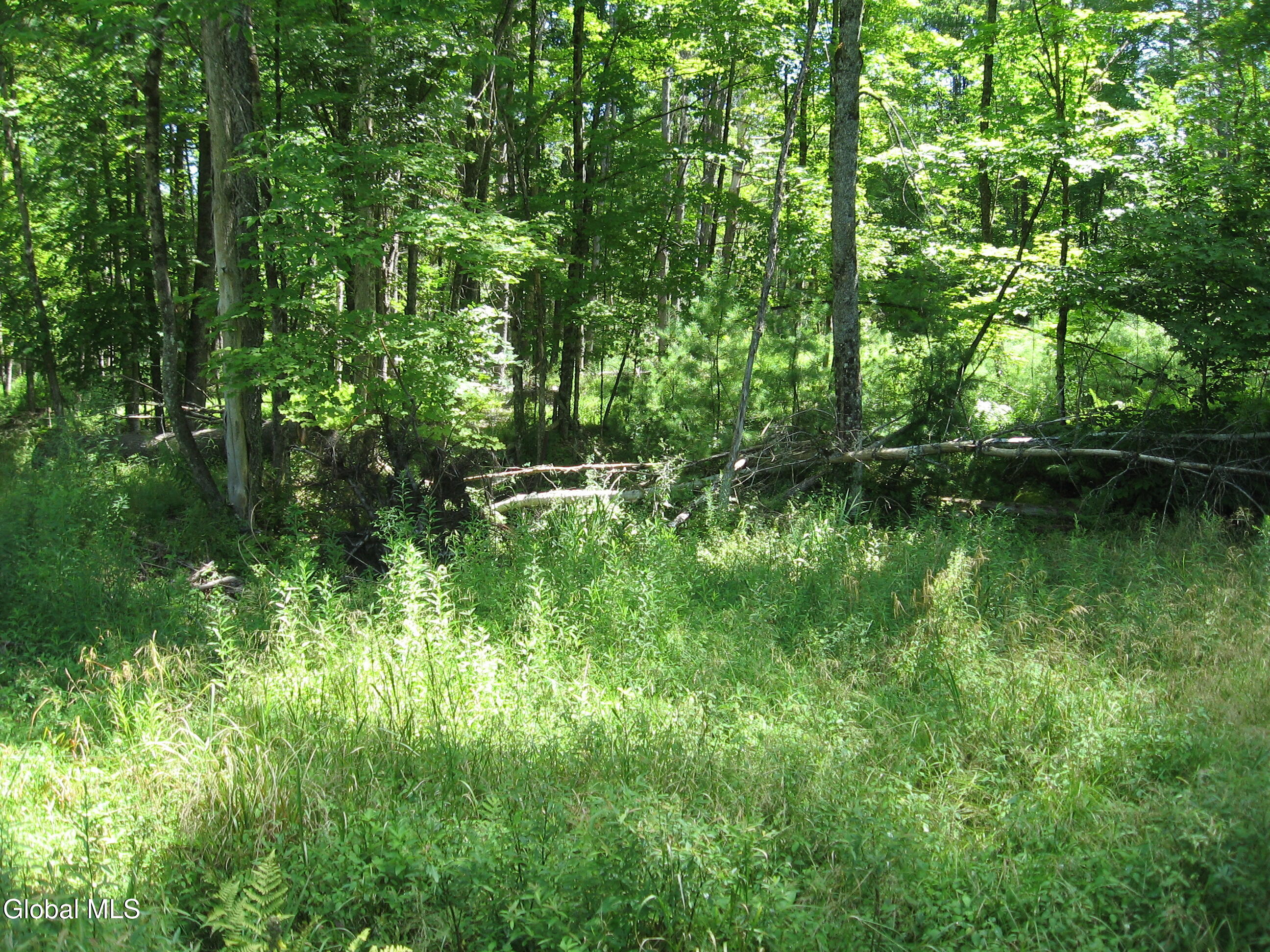 1260 Valentine Pond Road Adirondack NY 12808