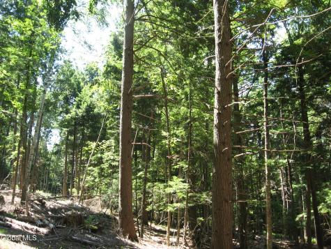 1260 Valentine Pond Road Adirondack NY 12808