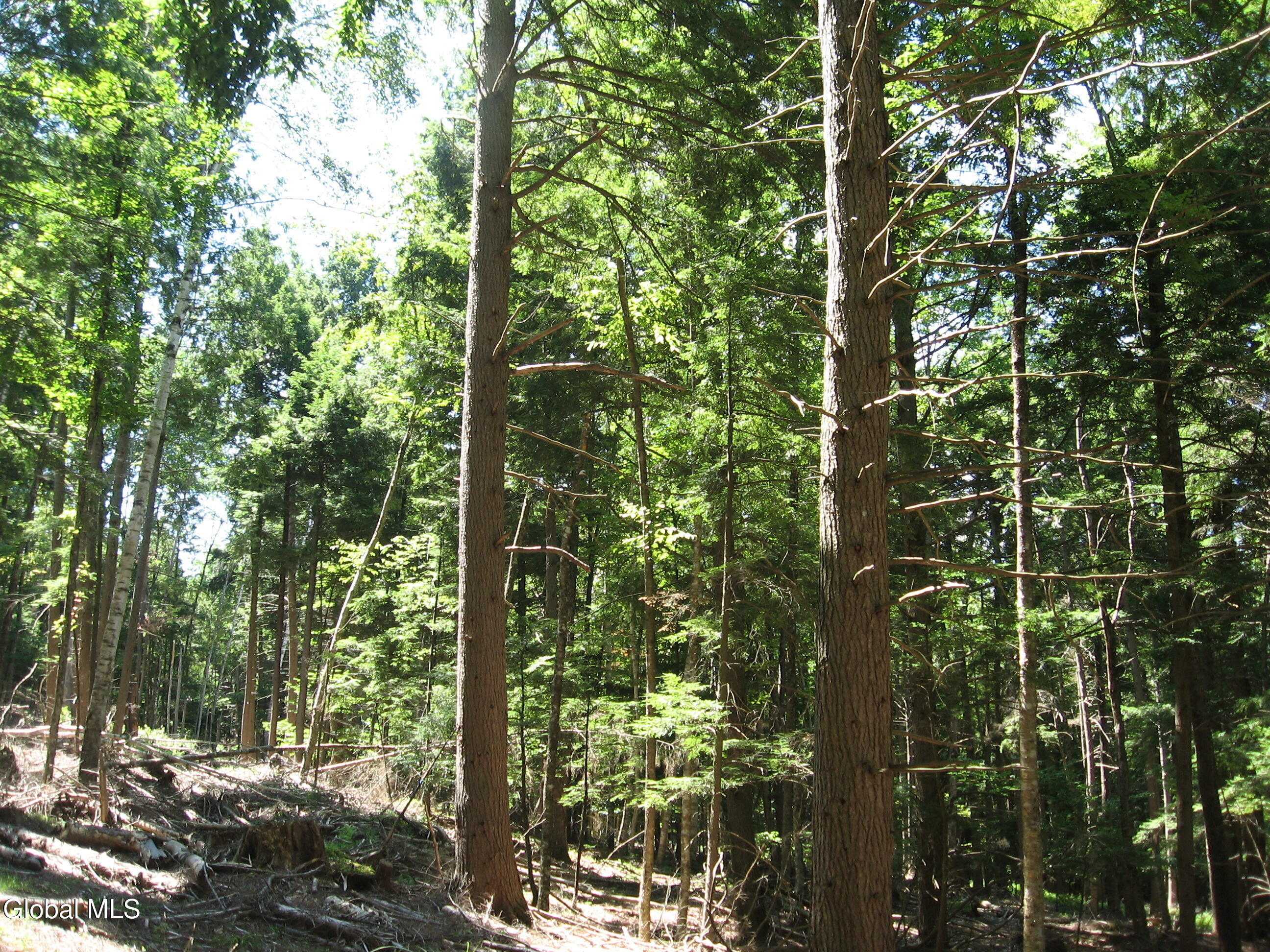 1260 Valentine Pond Road Adirondack NY 12808