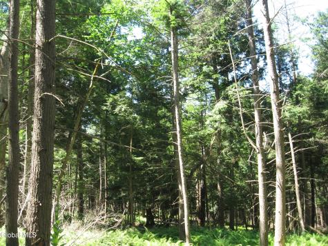 1260 Valentine Pond Road Adirondack NY 12808