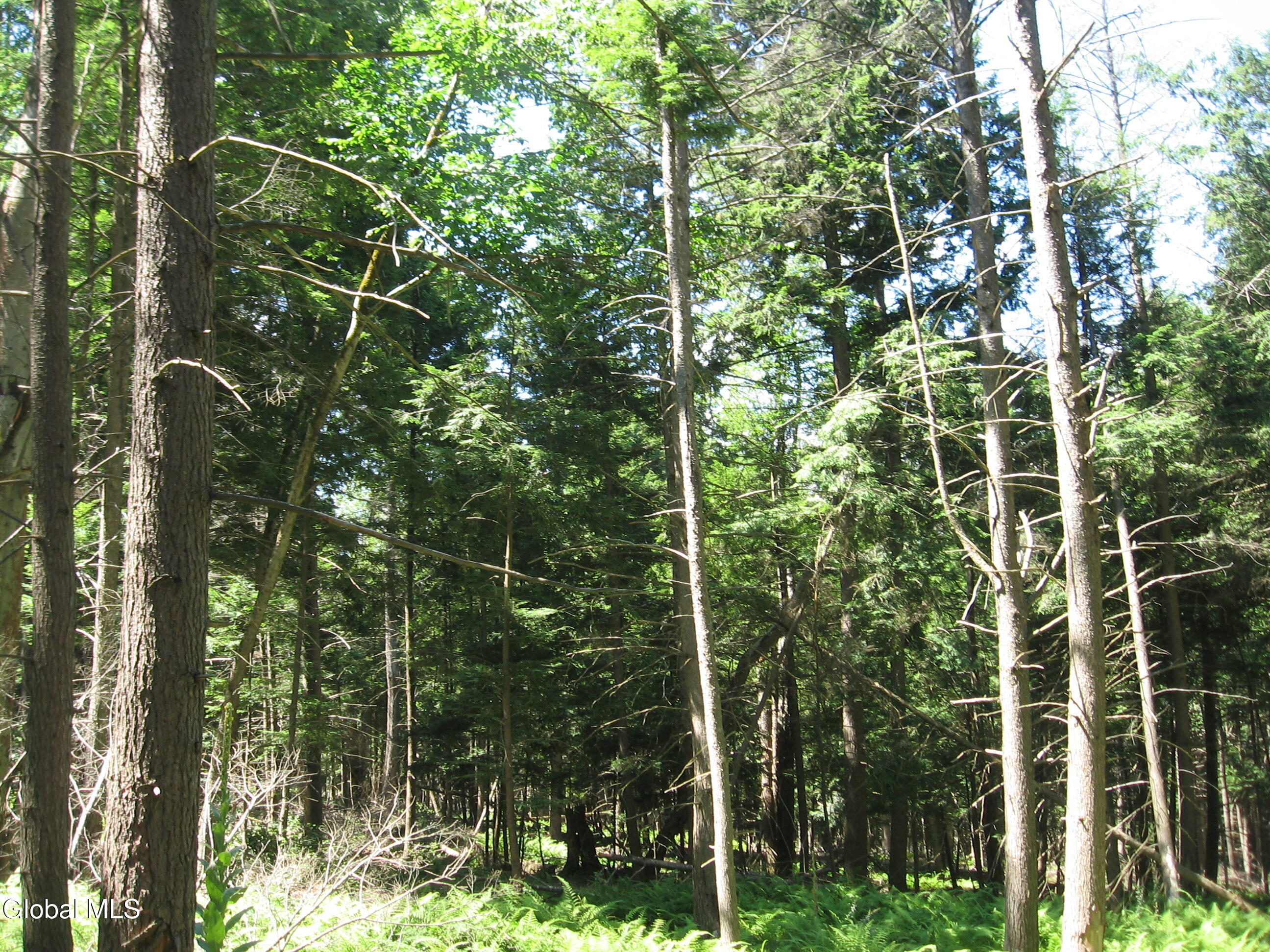 1260 Valentine Pond Road Adirondack NY 12808
