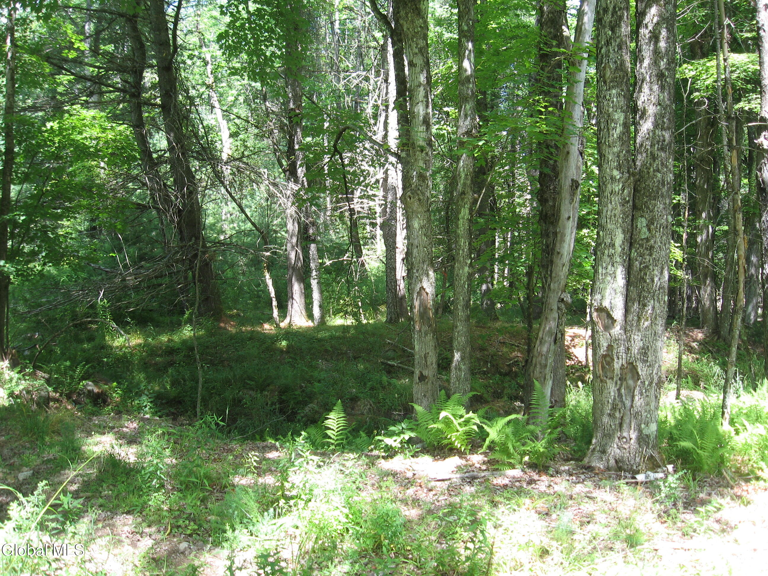 1260 Valentine Pond Road Adirondack NY 12808
