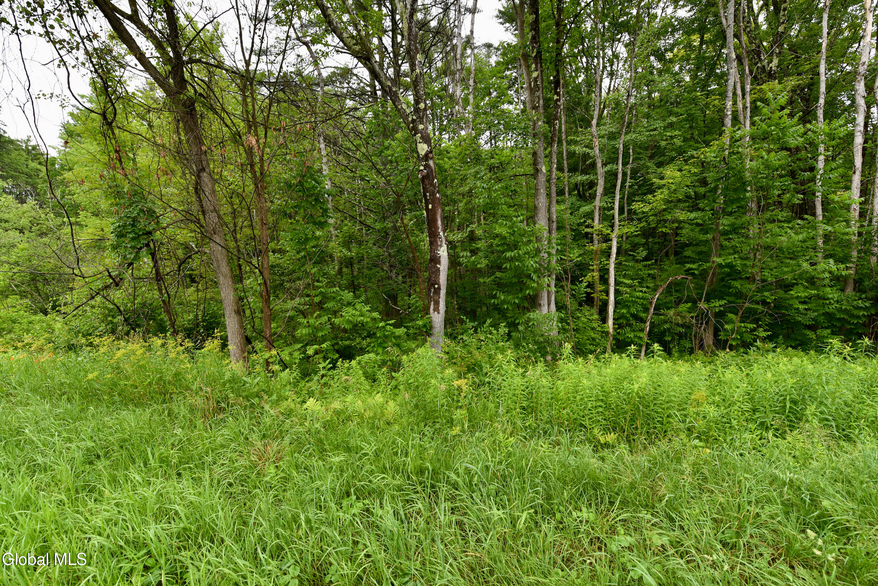 3241 Nys Rt 9n Greenfield Center NY 12833