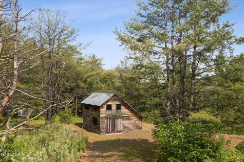 87 Craven Road Delanson NY 12053